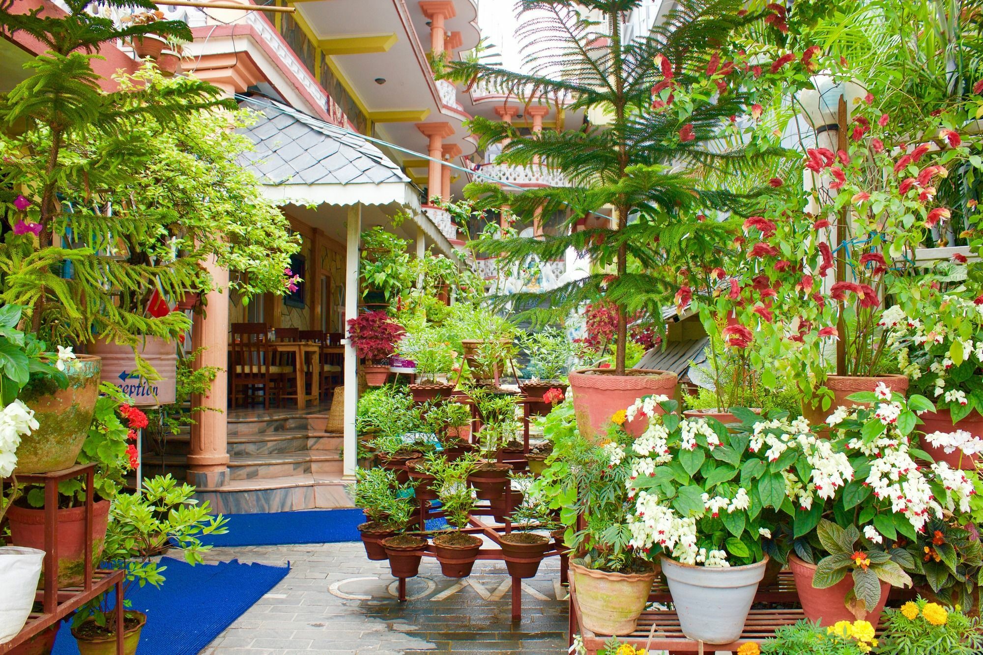 Hotel Himalayan Inn Pokhara Exterior foto